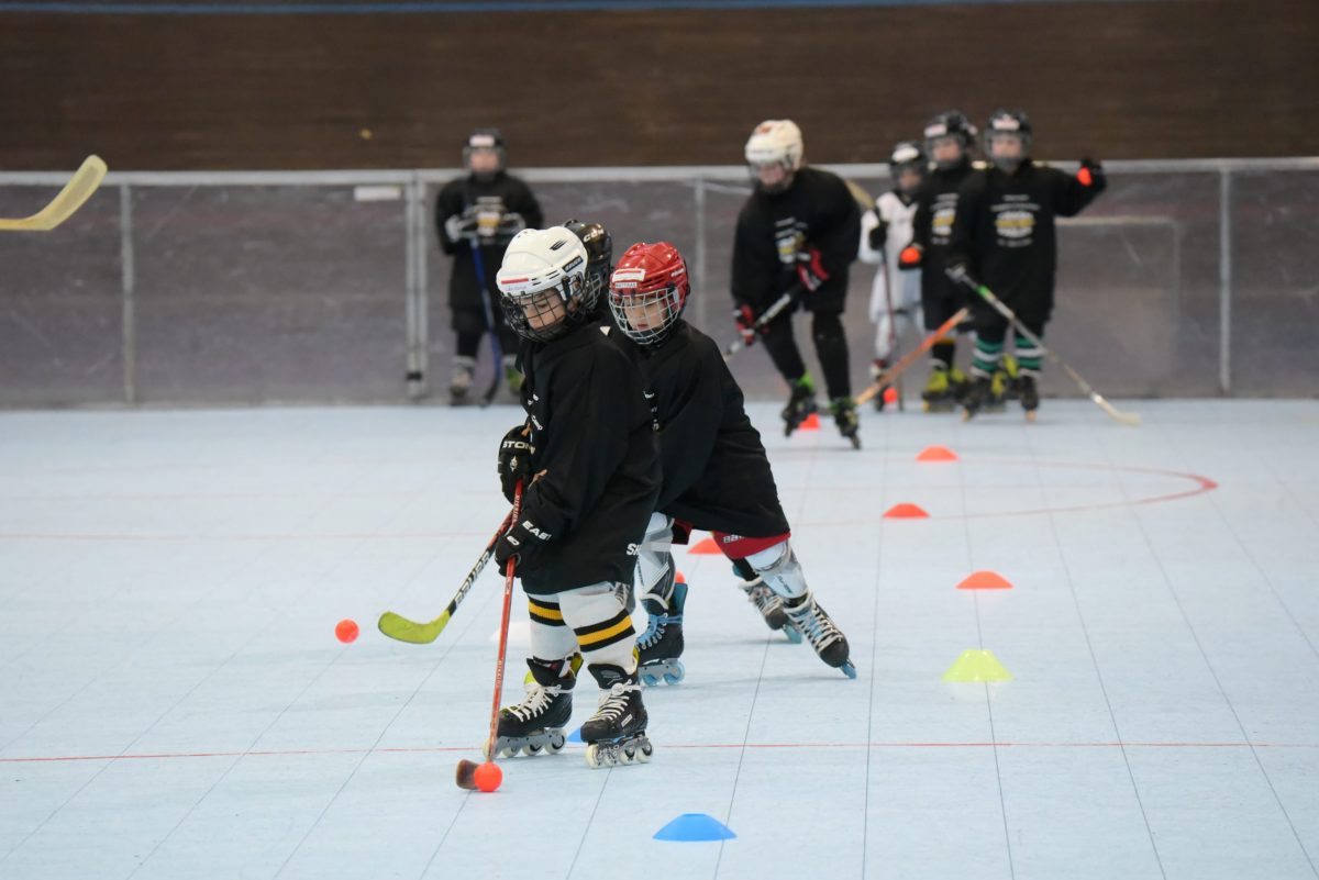 crash eagles youngsters Camp