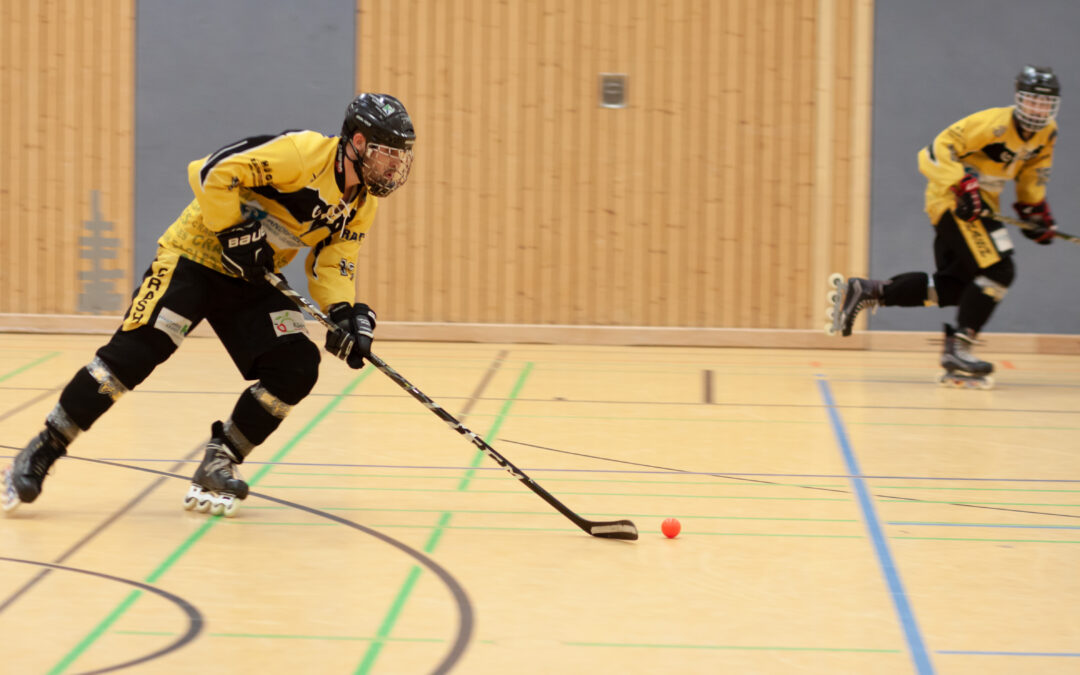 6:9 (1:5/2:2/3:2) Niederlage zum Saisonauftakt gegen die Duisburg Ducks