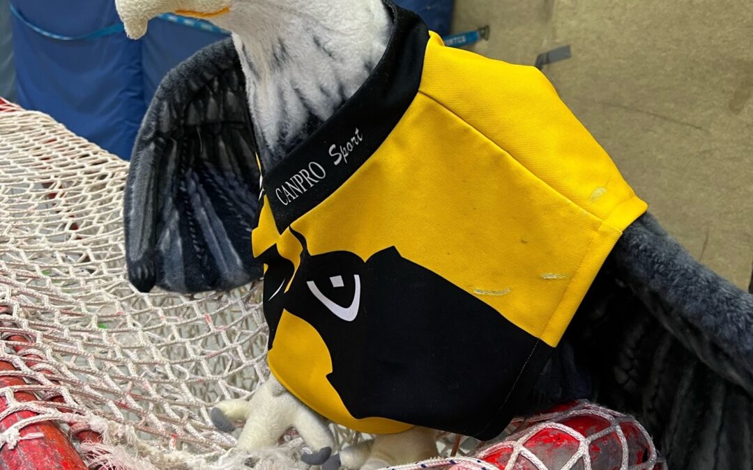 2. Bambini gewinnen ausgeglichenes Spiel in Lüdenscheid